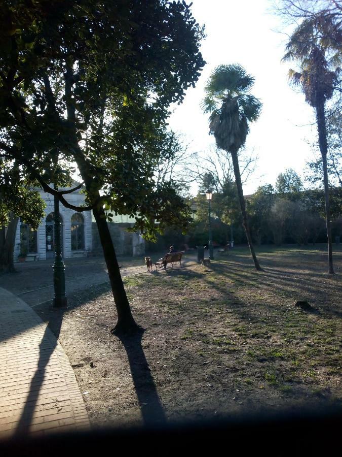 With A Secret And Romantic Park * Venecia